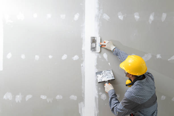 Best Mold Prevention Services  in Princeton Meadows, NJ