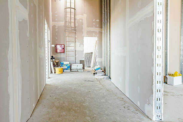 Princeton Meadows, NJ Mold Removal Company